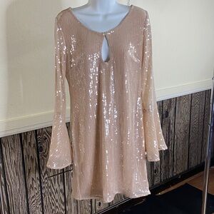 Hutch Blush Sequin Long Sleeve Shift Dress